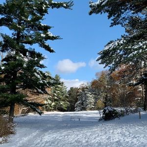 Meet your Posher, Ann arbor